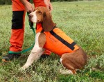 Presentació armilles protectores per gossos